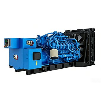 Cat Industrial Generator