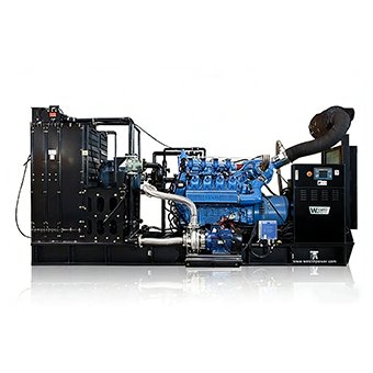 Perkins Gas Generator